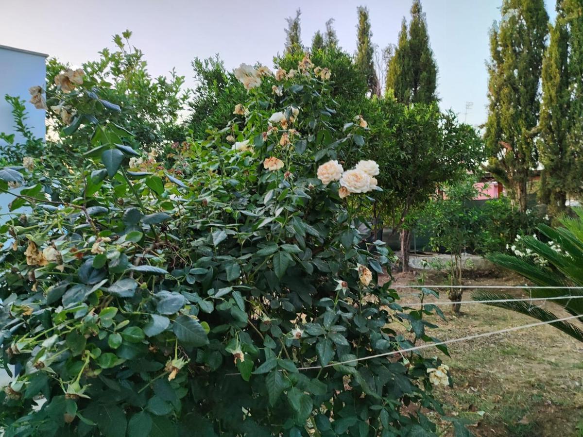 Penzion Filoxenia Di Umberto Sassari Exteriér fotografie