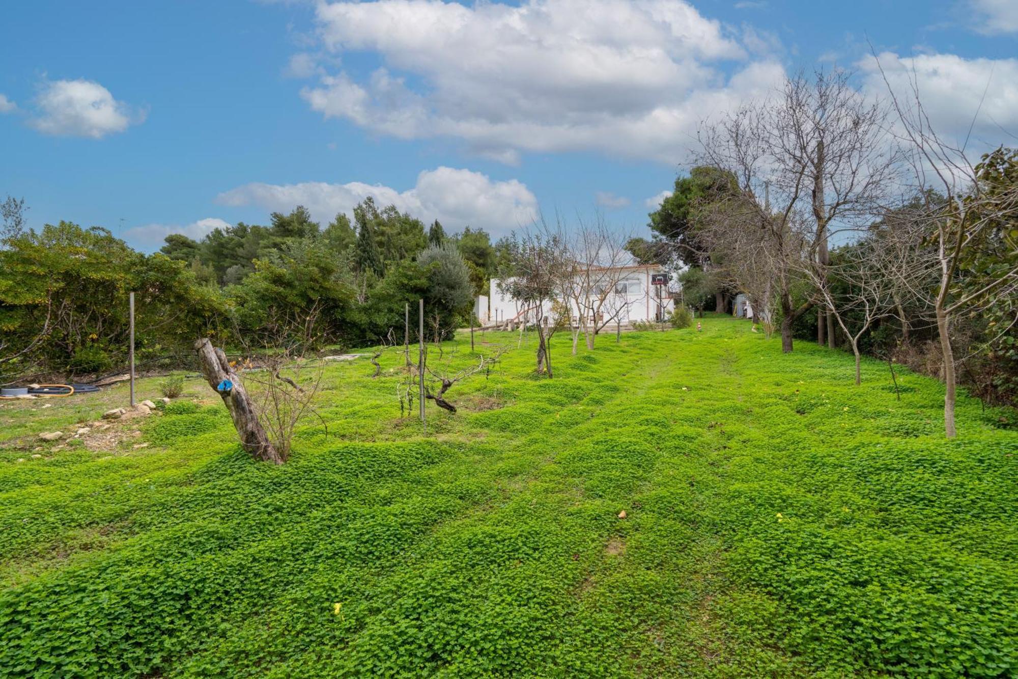 Penzion Filoxenia Di Umberto Sassari Exteriér fotografie